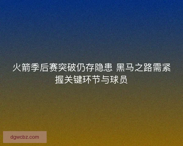 火箭季后赛突破仍存隐患 黑马之路需紧握关键环节与球员