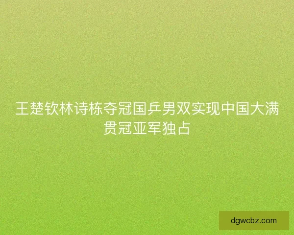 王楚钦林诗栋夺冠国乒男双实现中国大满贯冠亚军独占